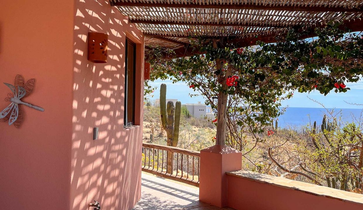 IMG_7373-transformed