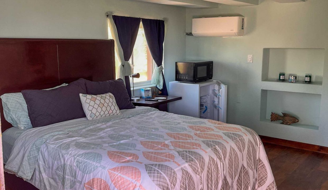 IMG_7374-transformed